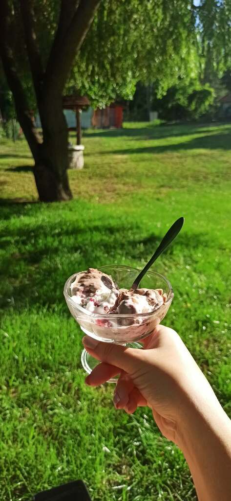 Trenutci Naših Gostiju - 2