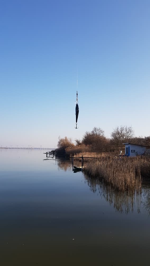 Dunav i Ribolov - 8