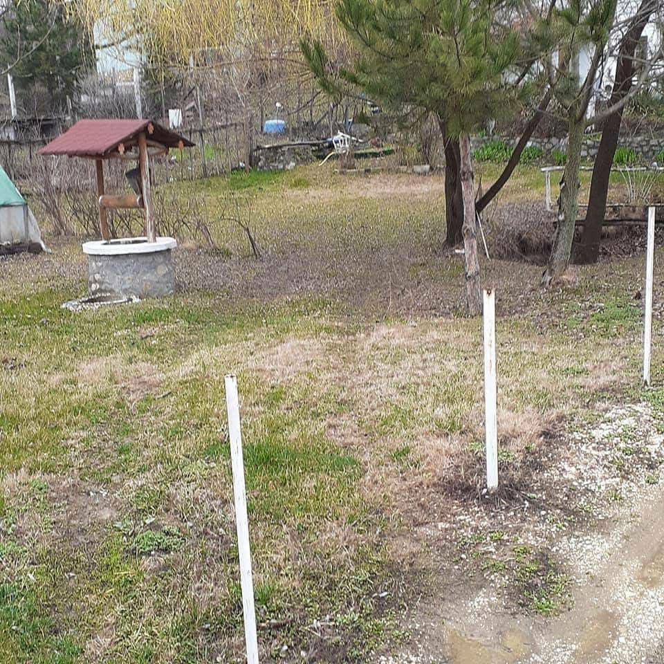 Vrt pre uređenja - divlja džungla