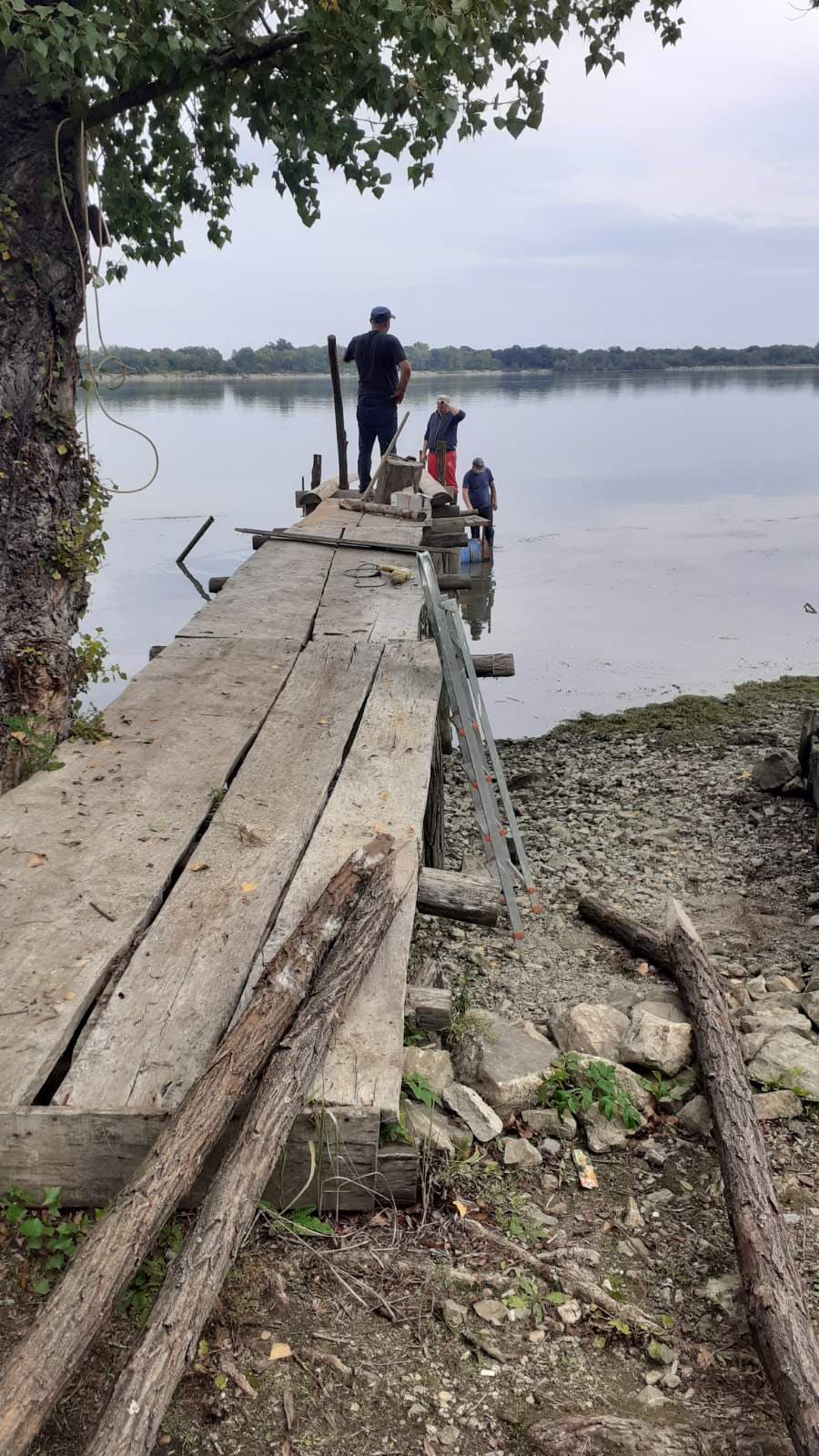 Veza sa rekom - Polako mol počinje da dobija svoju pravu i lepu formu — svaka daska postavljena sa pažnjom i vizijom budućnosti. 1